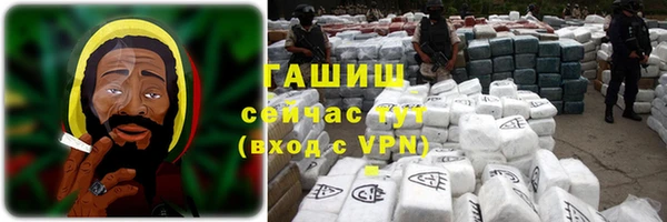 гидра Богданович