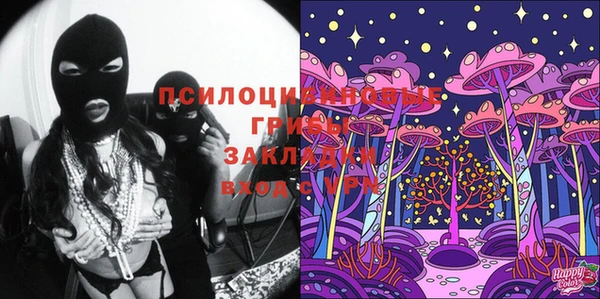 гидра Богданович