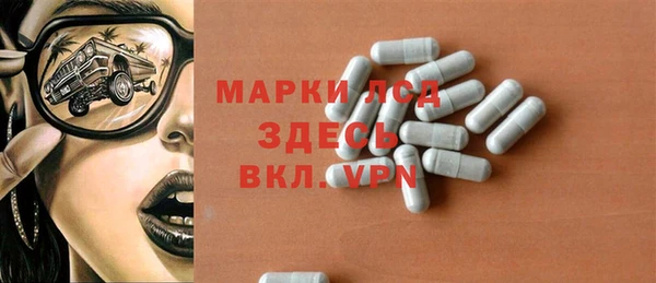 гидра Богданович