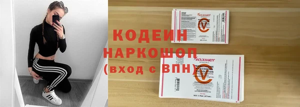 гидра Богданович