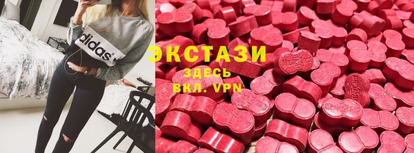 гидра Богданович