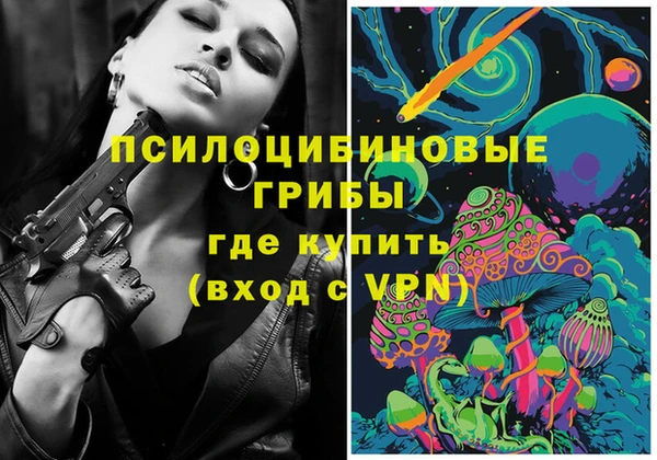 гидра Богданович