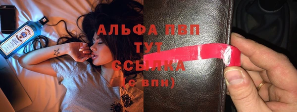 гидра Богданович