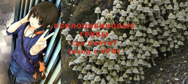 гидра Богданович
