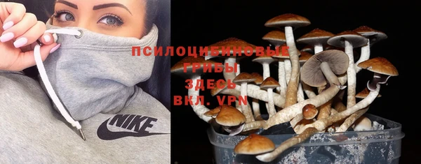МДМА Бугульма