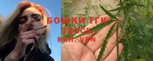 СК Богородск