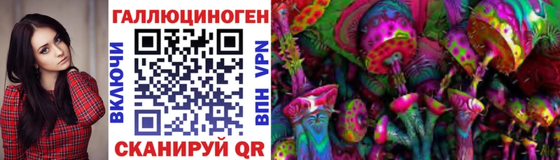 площадка наркотические препараты Дальнегорск Галлюциногенные грибы Cubensis